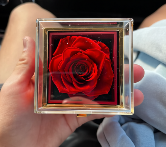 Coffret Rose Éternelle + Collier Cœur Doré